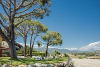 Casa Santini x Roc Seven